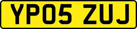 YP05ZUJ
