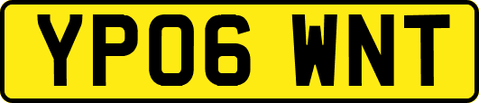 YP06WNT