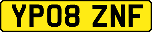 YP08ZNF