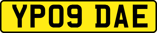 YP09DAE