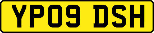YP09DSH