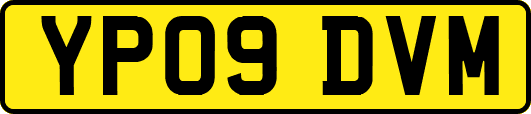 YP09DVM