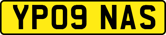 YP09NAS