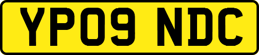YP09NDC