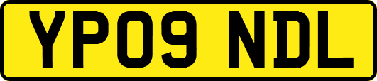 YP09NDL