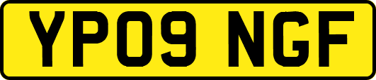 YP09NGF