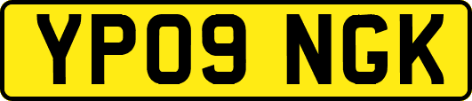 YP09NGK