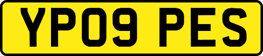 YP09PES