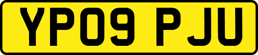 YP09PJU