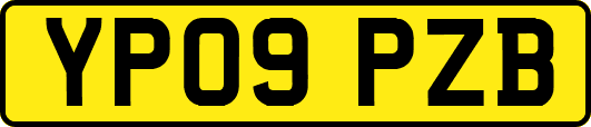 YP09PZB