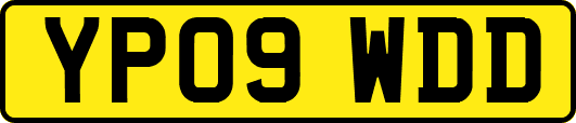 YP09WDD