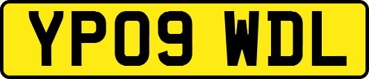 YP09WDL