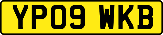 YP09WKB