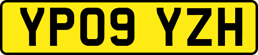 YP09YZH