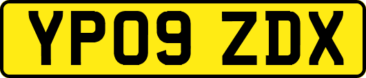 YP09ZDX