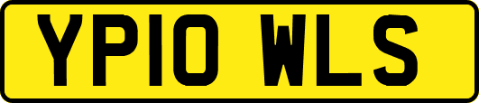 YP10WLS