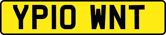 YP10WNT