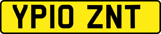 YP10ZNT