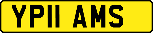 YP11AMS