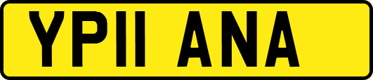 YP11ANA