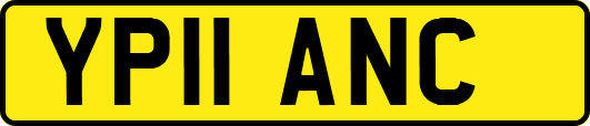 YP11ANC