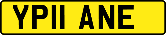 YP11ANE
