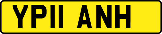 YP11ANH