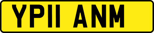 YP11ANM