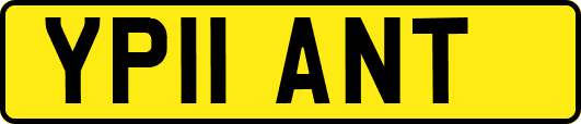 YP11ANT