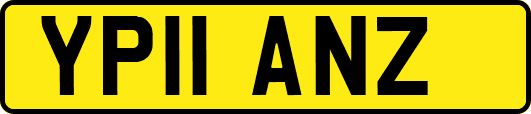 YP11ANZ