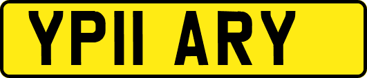 YP11ARY