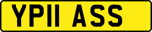 YP11ASS