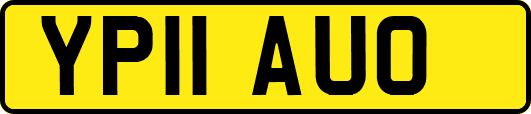 YP11AUO