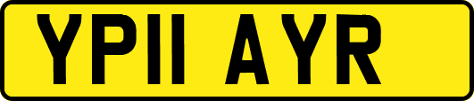 YP11AYR