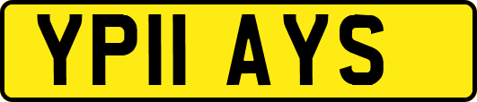YP11AYS