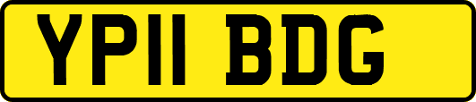YP11BDG
