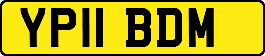YP11BDM
