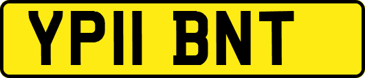 YP11BNT