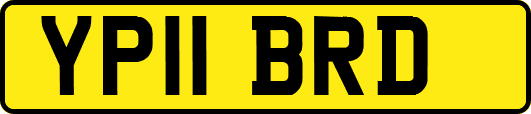 YP11BRD