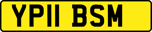 YP11BSM