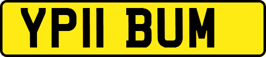 YP11BUM