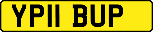 YP11BUP