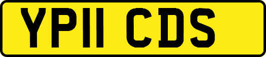 YP11CDS