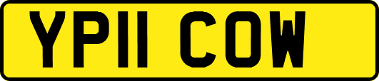 YP11COW