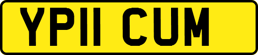 YP11CUM