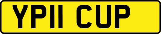 YP11CUP