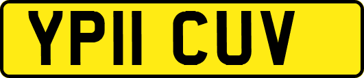 YP11CUV