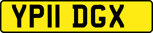 YP11DGX