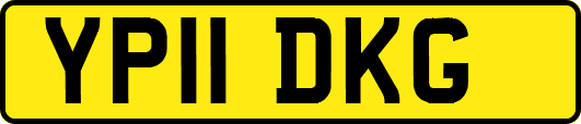 YP11DKG