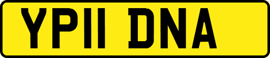 YP11DNA